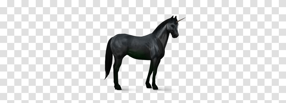 Unicorn, Fantasy, Horse, Mammal, Animal Transparent Png