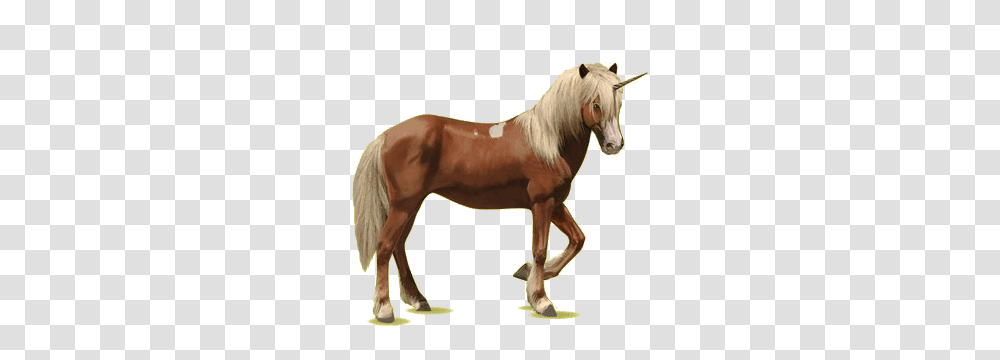 Unicorn, Fantasy, Horse, Mammal, Animal Transparent Png