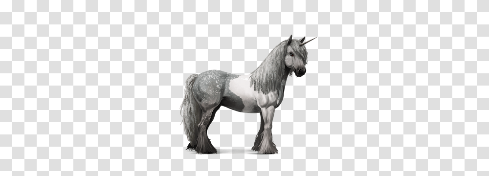 Unicorn, Fantasy, Horse, Mammal, Animal Transparent Png