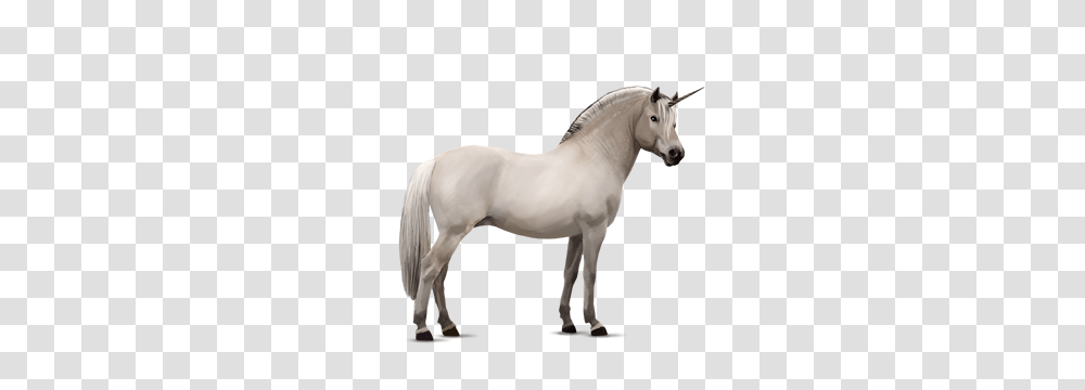 Unicorn, Fantasy, Horse, Mammal, Animal Transparent Png