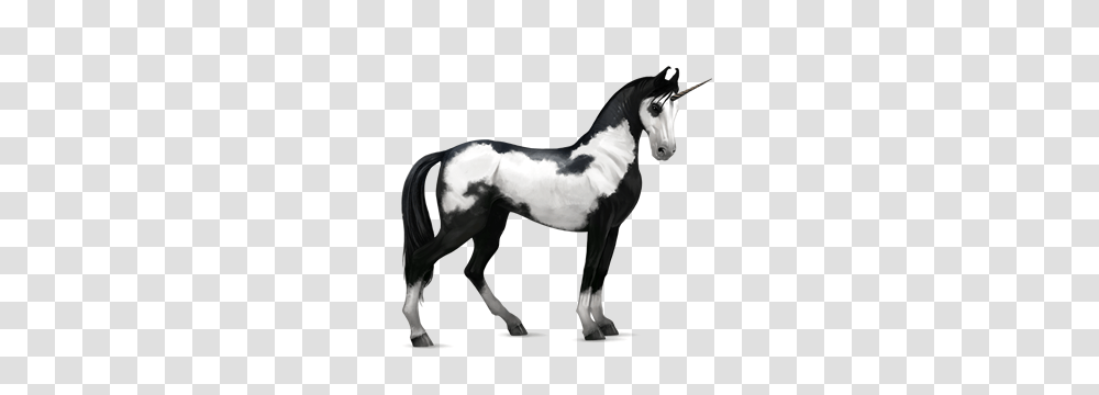 Unicorn, Fantasy, Horse, Mammal, Animal Transparent Png