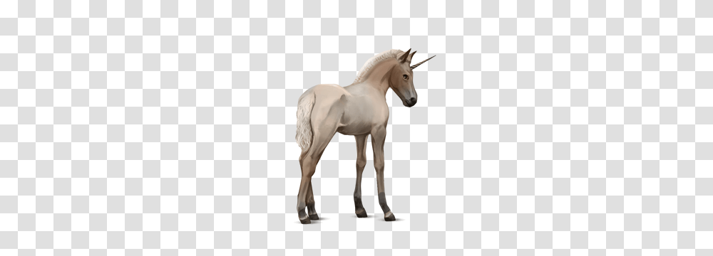 Unicorn, Fantasy, Horse, Mammal, Animal Transparent Png