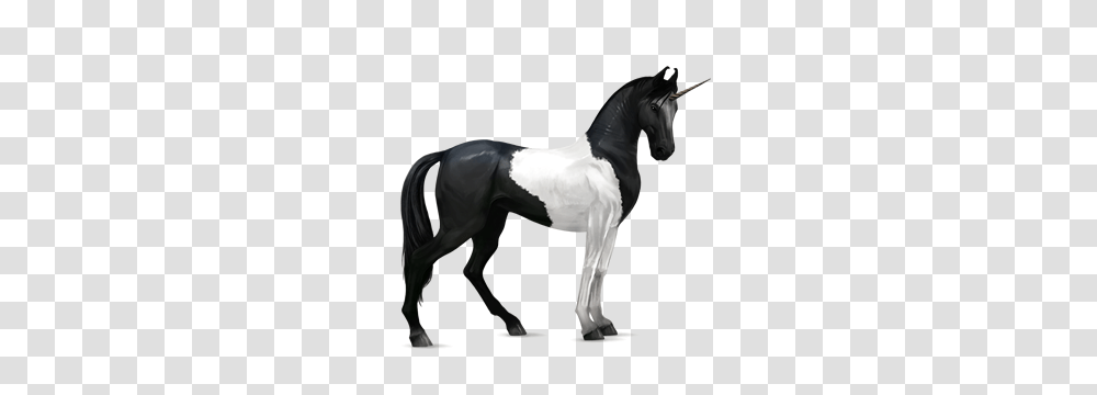 Unicorn, Fantasy, Horse, Mammal, Animal Transparent Png