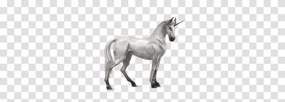 Unicorn, Fantasy, Horse, Mammal, Animal Transparent Png