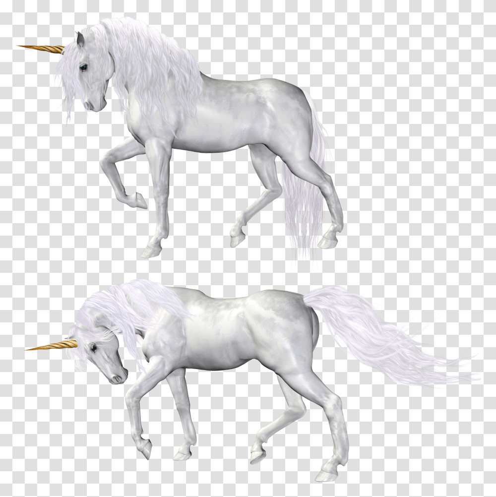 Unicorn, Fantasy, Horse, Mammal, Animal Transparent Png