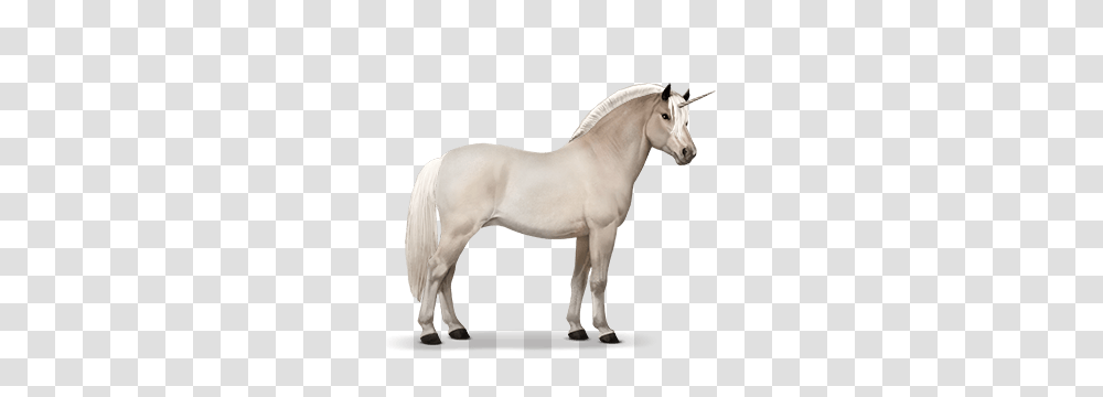 Unicorn, Fantasy, Horse, Mammal, Animal Transparent Png