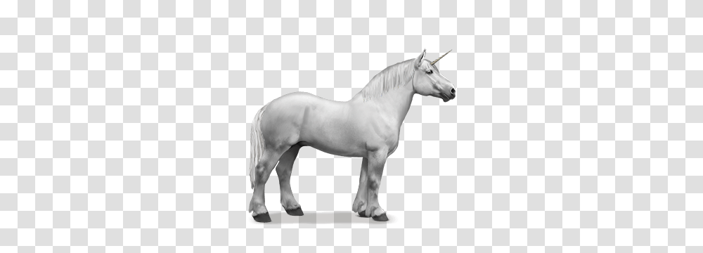 Unicorn, Fantasy, Horse, Mammal, Animal Transparent Png