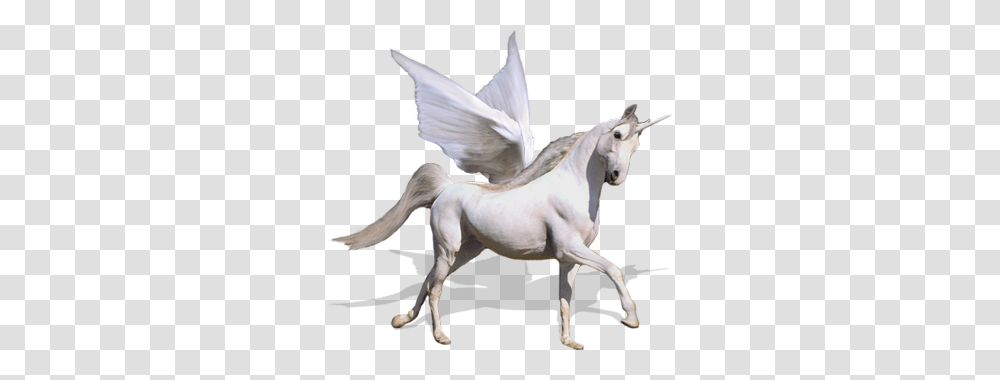 Unicorn, Fantasy, Horse, Mammal, Animal Transparent Png