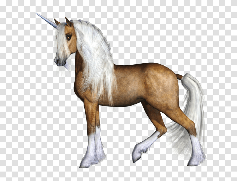 Unicorn, Fantasy, Horse, Mammal, Animal Transparent Png