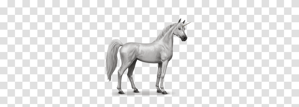 Unicorn, Fantasy, Horse, Mammal, Animal Transparent Png