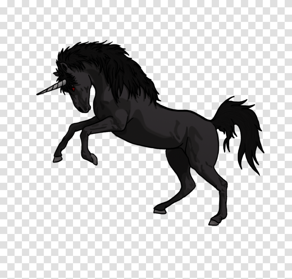 Unicorn, Fantasy, Horse, Mammal, Animal Transparent Png