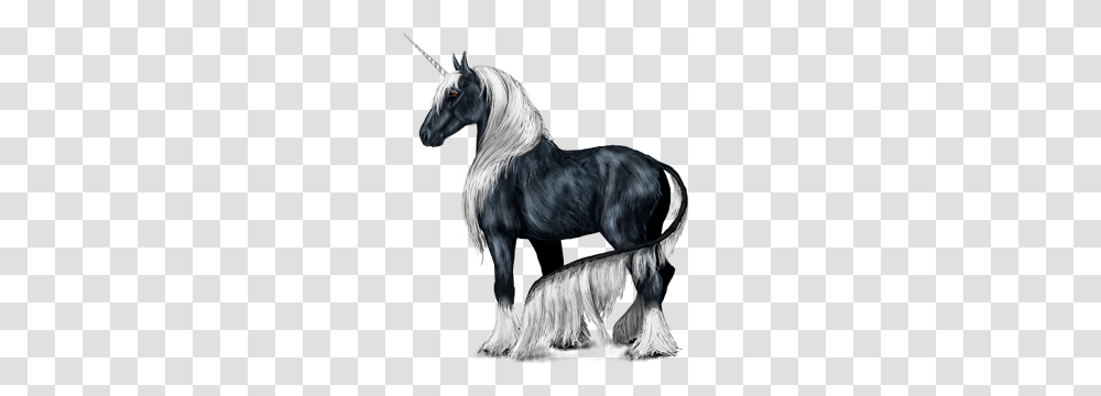 Unicorn, Fantasy, Horse, Mammal, Animal Transparent Png