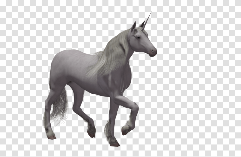 Unicorn, Fantasy, Horse, Mammal, Animal Transparent Png