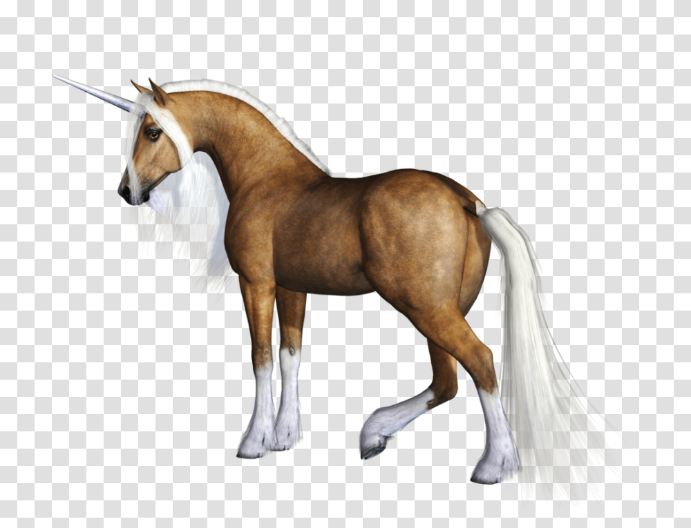 Unicorn, Fantasy, Horse, Mammal, Animal Transparent Png