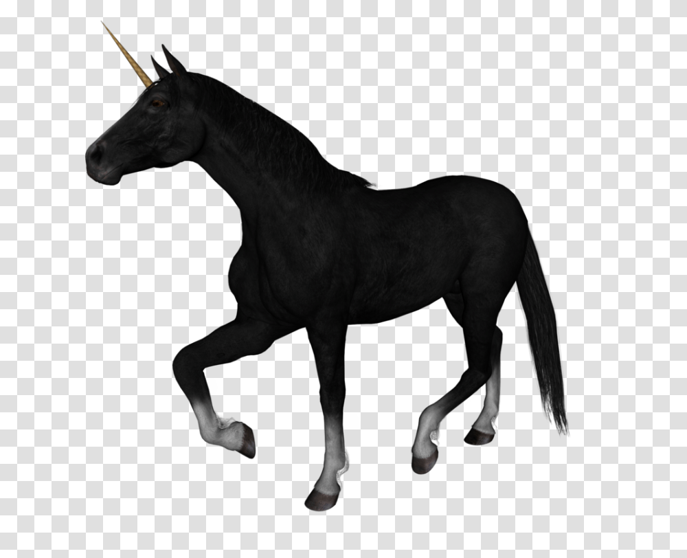 Unicorn, Fantasy, Horse, Mammal, Animal Transparent Png