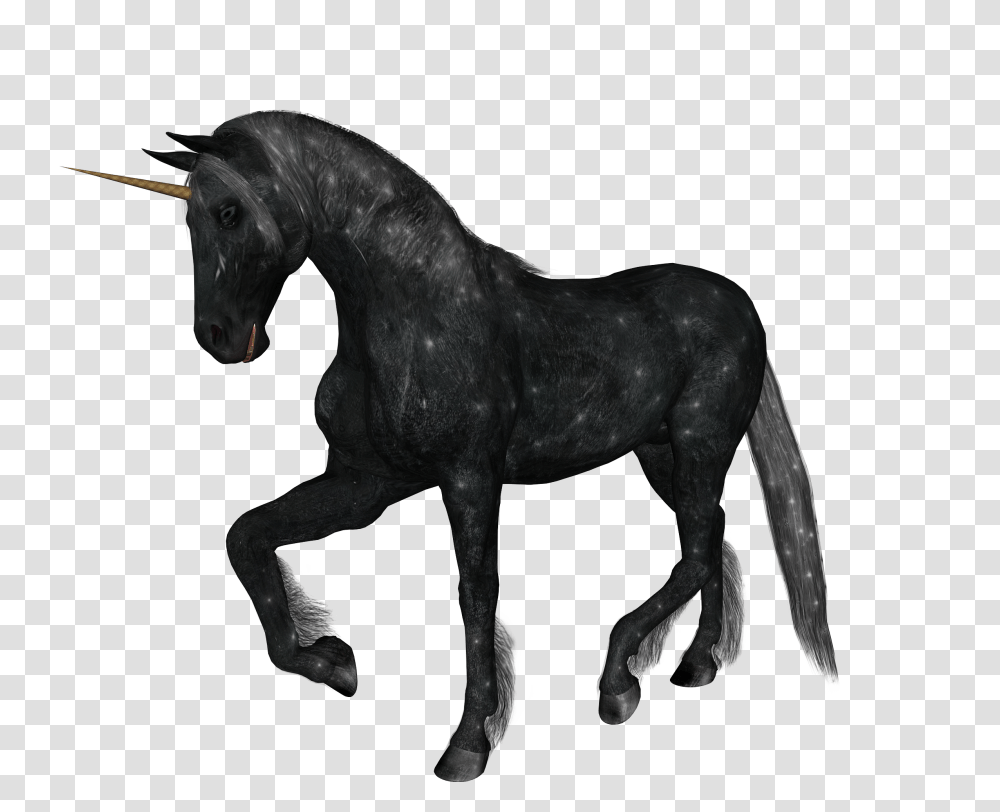 Unicorn, Fantasy, Horse, Mammal, Animal Transparent Png