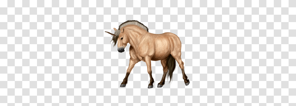 Unicorn, Fantasy, Horse, Mammal, Animal Transparent Png