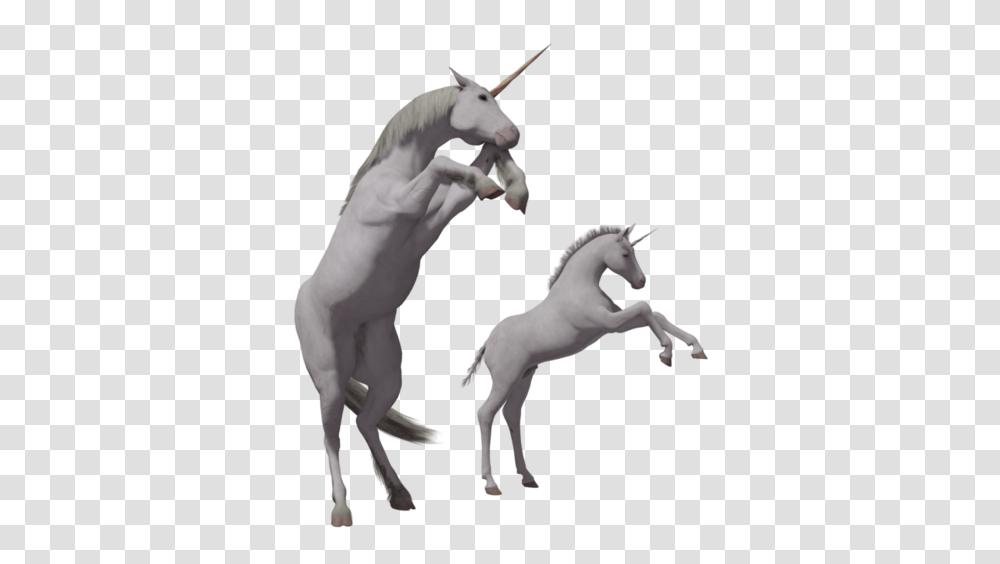 Unicorn Foals Background Portable Network Graphics, Horse, Mammal, Animal, Antelope Transparent Png