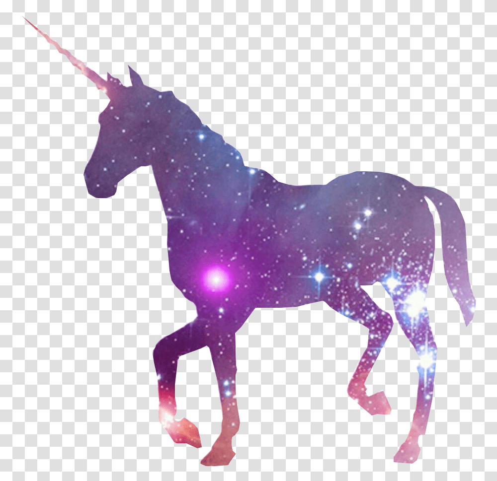 Unicorn Horn Fairy Tale Galaxy Unicorn, Foal, Horse, Mammal, Animal Transparent Png