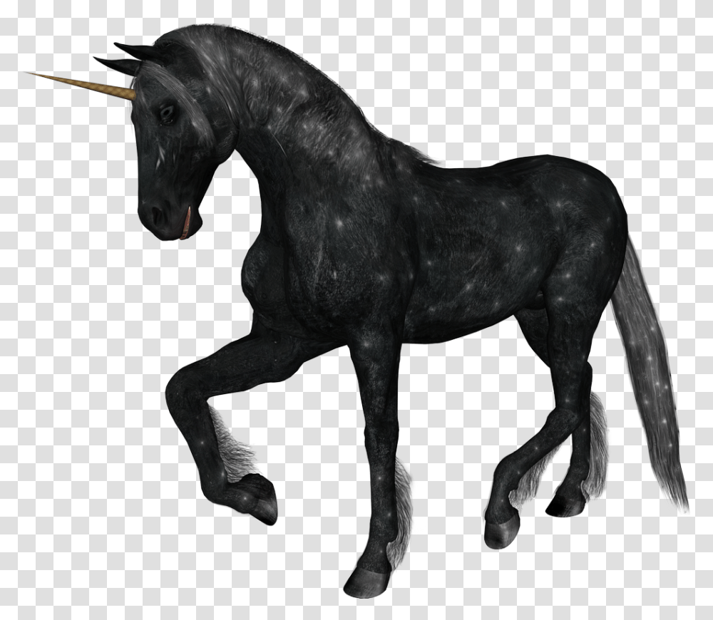 Unicorn Horn Unicorn Realistic, Horse, Mammal, Animal, Stallion Transparent Png