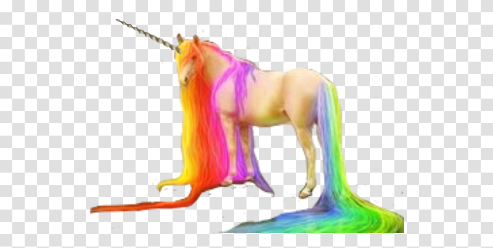 Unicorn Horn Unicornhorn Rainbow Rainbowunicorn Unicornhorn, Horse, Mammal, Animal, Person Transparent Png