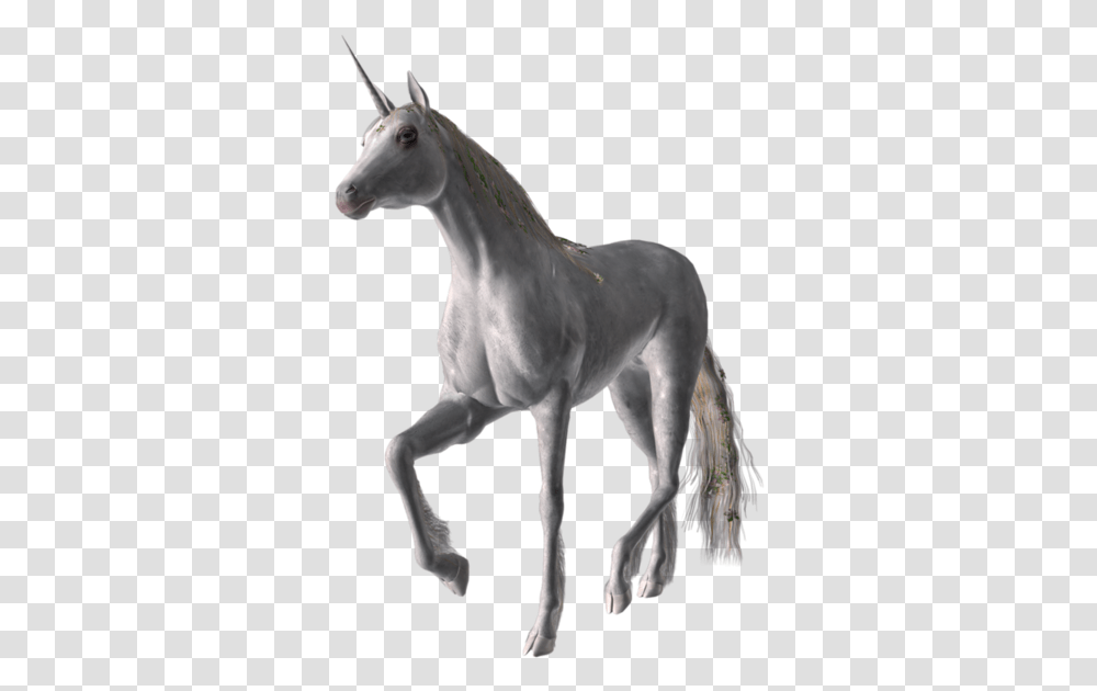Unicorn, Horse, Mammal, Animal, Foal Transparent Png