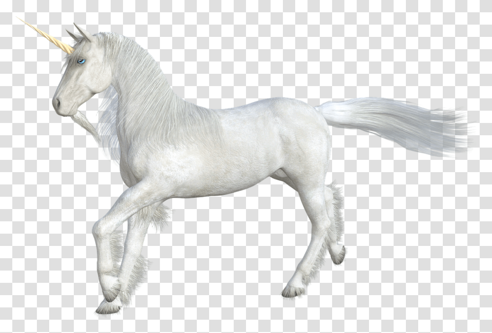 Unicorn Horse Mythical Creatures Horn Fairy Tales, Mammal, Animal, Bird, Antelope Transparent Png
