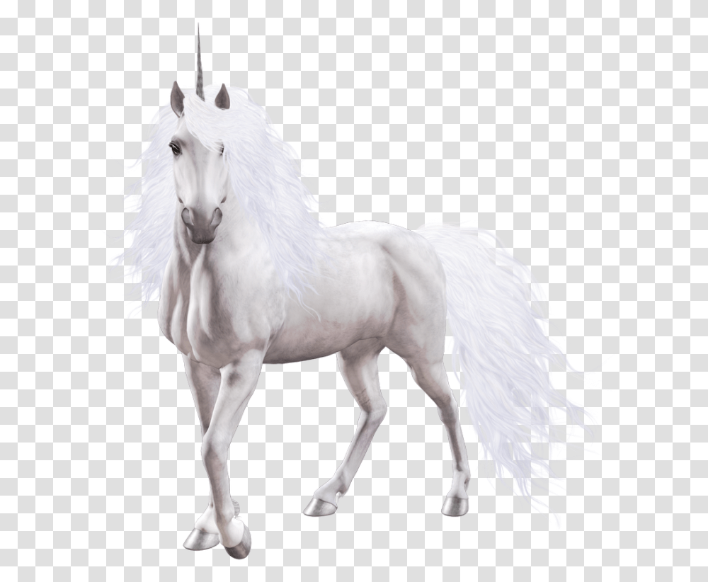 Unicorn Image Background White Unicorn, Horse, Mammal, Animal, Andalusian Horse Transparent Png