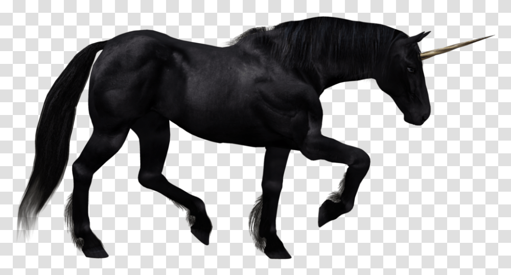 Unicorn Image Black Unicorn White Background, Horse, Mammal, Animal, Stallion Transparent Png