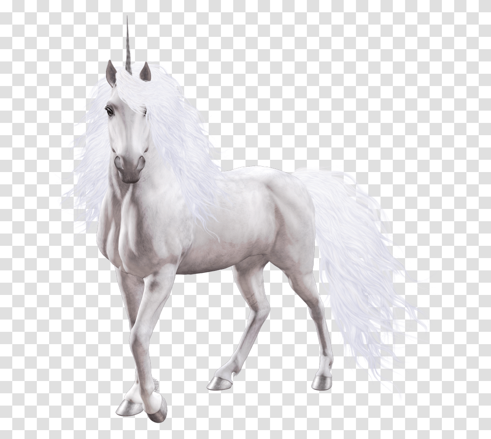 Unicorn Image, Horse, Mammal, Animal, Andalusian Horse Transparent Png