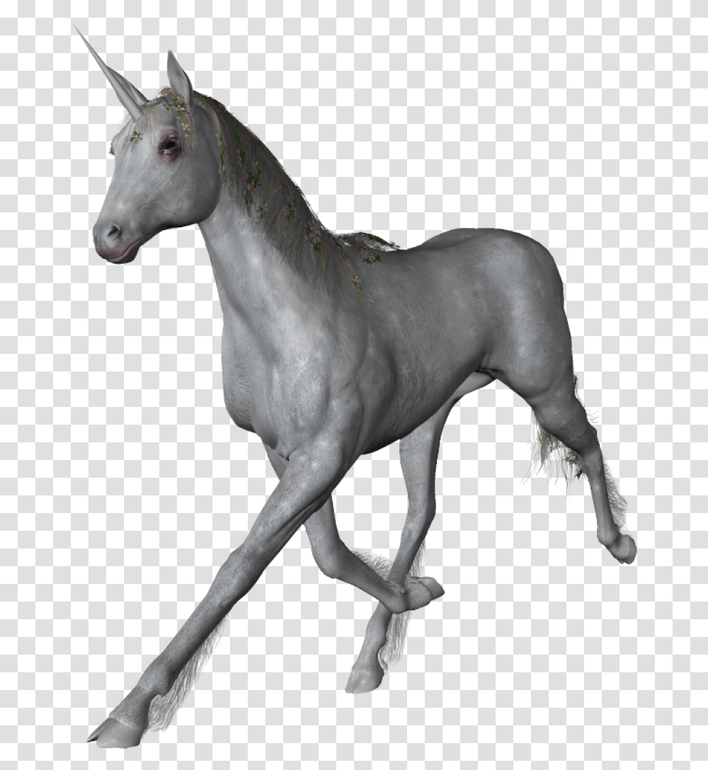 Unicorn Image Portable Network Graphics, Horse, Mammal, Animal, Stallion Transparent Png