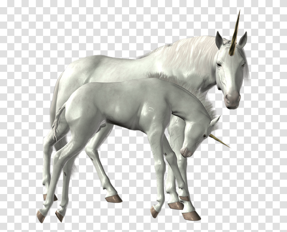 Unicorn Image Unicorn, Horse, Mammal, Animal, Foal Transparent Png