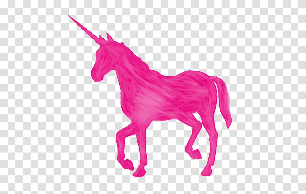 Unicorn Images Free Download Clip Art, Mammal, Animal, Foal, Horse Transparent Png