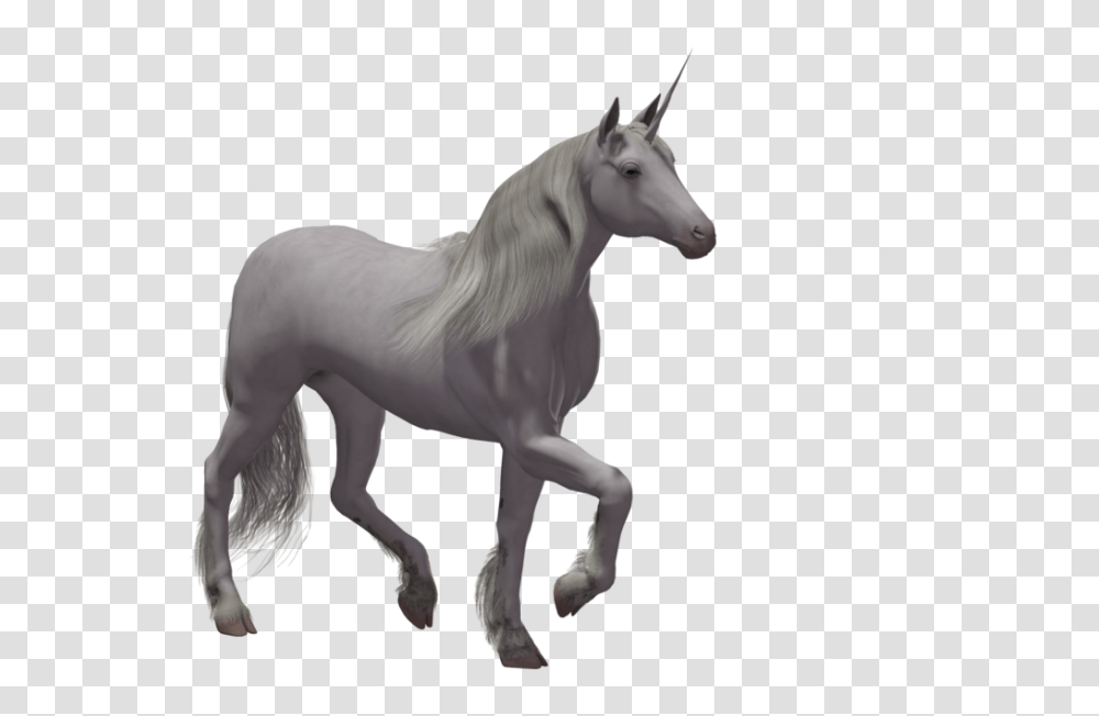 Unicorn Images Free Download, Horse, Mammal, Animal, Andalusian Horse Transparent Png