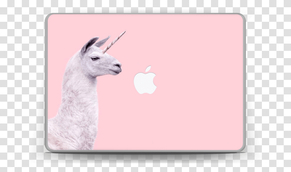 Unicorn Lama Skin Macbook Pro 13 Llama, Electronics, Mammal, Animal, Kangaroo Transparent Png