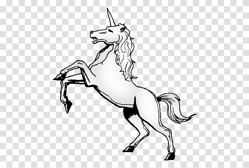 Unicorn On Hind Legs, Horse, Mammal, Animal, Stallion Transparent Png