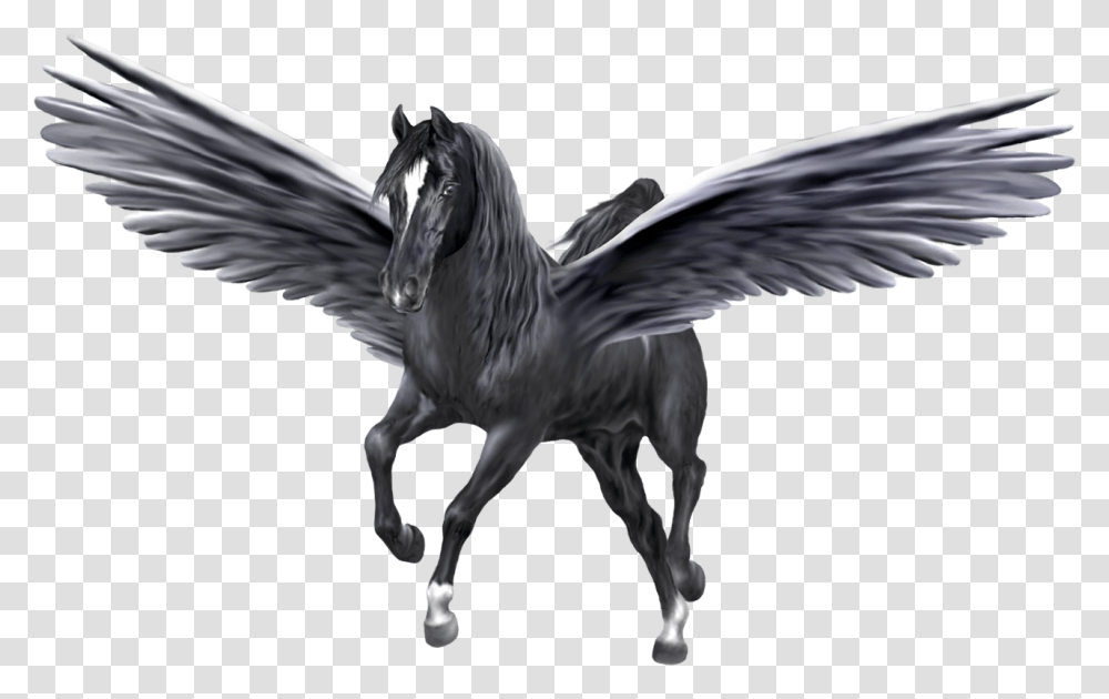 Unicorn Pegasus, Bird, Animal, Horse Transparent Png
