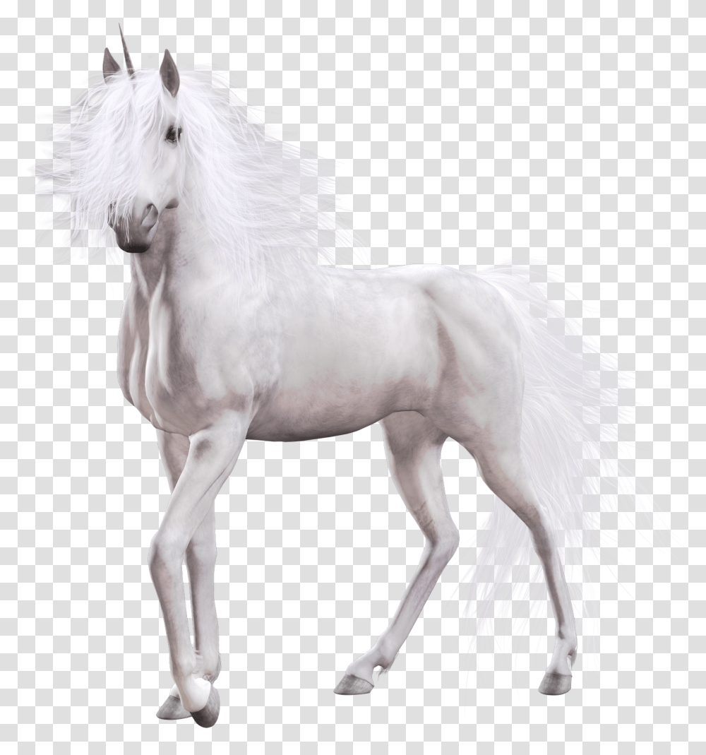 Unicorn Realistic Unicorn White Background, Horse, Mammal, Animal, Stallion Transparent Png