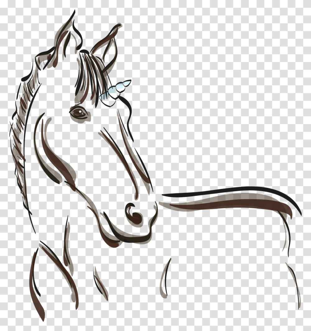 Unicorn Sabrinaschleifer, Animal, Spider, Drawing Transparent Png