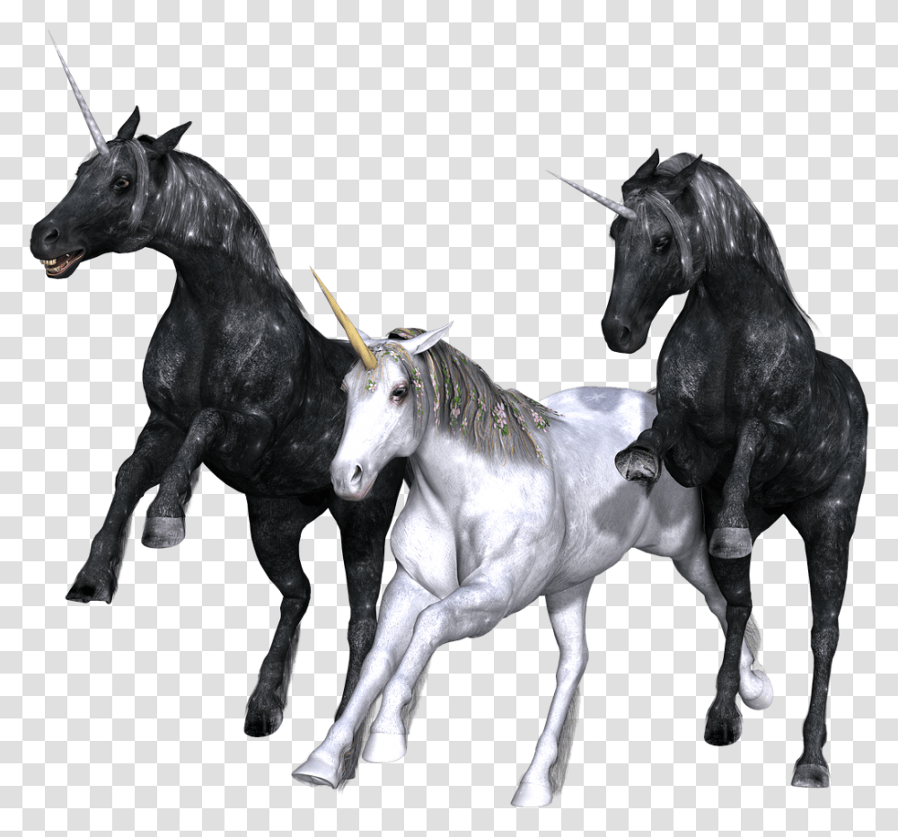 Unicorn Trio Unicorn Trio Background, Andalusian Horse, Mammal, Animal, Stallion Transparent Png