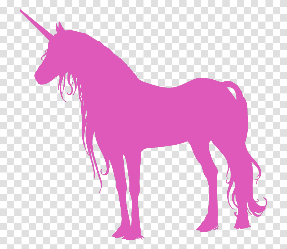Unicorn Tumblr No Background, Foal, Horse, Mammal, Animal Transparent Png