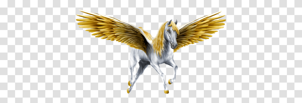 Unicorn With Gold Wings Image Pegasus, Bird, Animal, Art, Angel Transparent Png