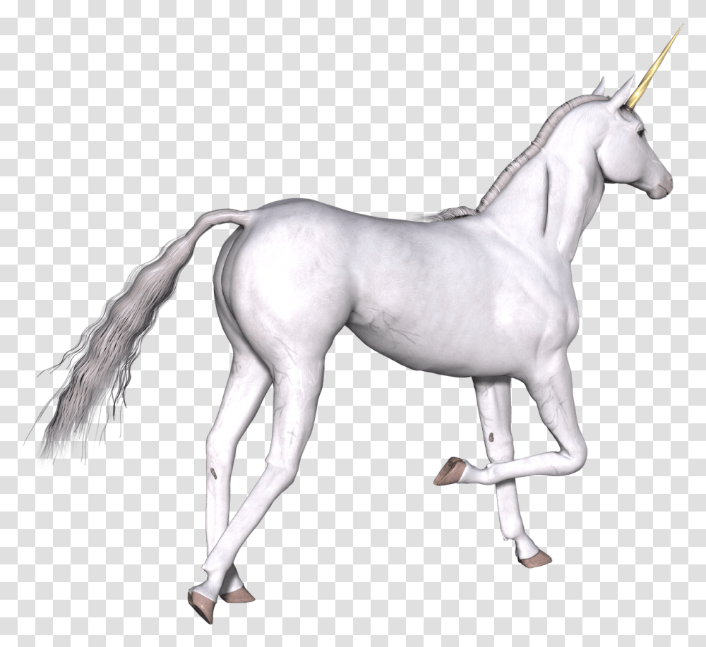 Unicornio Blanco Pata Derecha Arriba Unicorn, Horse, Mammal, Animal, Colt Horse Transparent Png