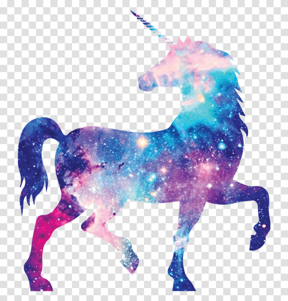 Unicornio Galaxia, Mammal, Animal, Horse, Painting Transparent Png