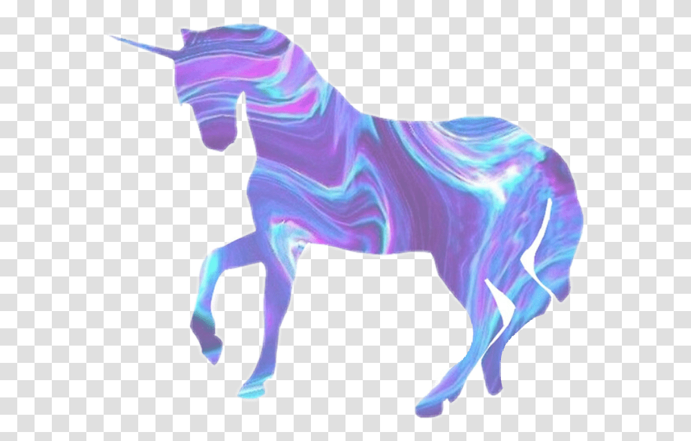Unicorns Holographic Unicorn Holographic, Mammal, Animal, Horse, Person Transparent Png