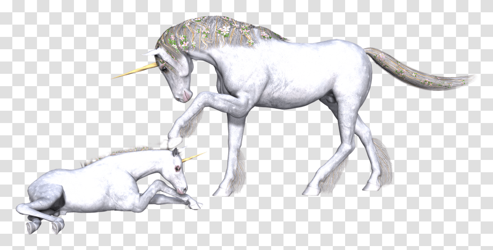 Unicorns Unicorn, Dinosaur, Reptile, Animal, Mammal Transparent Png