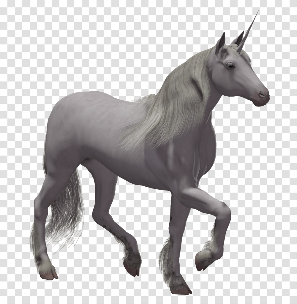 Unicorns With No Background, Horse, Mammal, Animal, Andalusian Horse Transparent Png