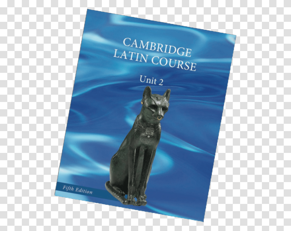 Unit 2 5th Edition Cover Domestic Short Haired Cat, Pet, Mammal, Animal, Egyptian Cat Transparent Png