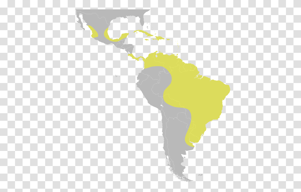 United Central Subregion States Latin America South South America Called Latin America, Map, Diagram, Atlas, Plot Transparent Png