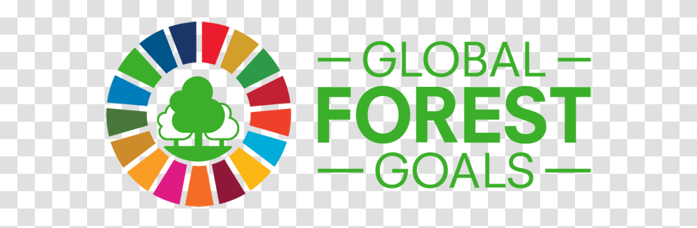 United Nation Forum On Forest, Darts, Game Transparent Png